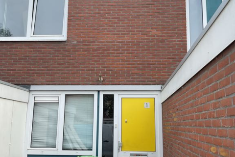 house image