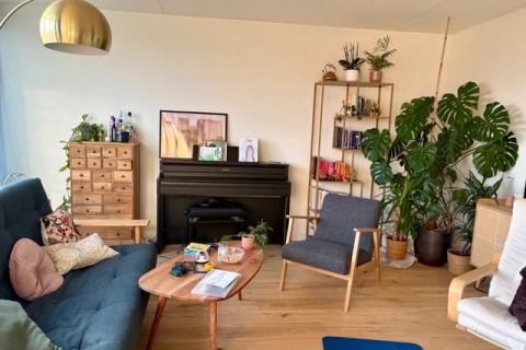 house image