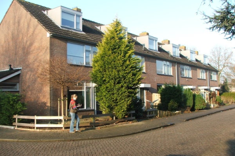 house image