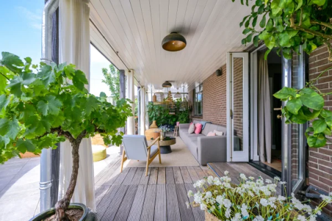 house image