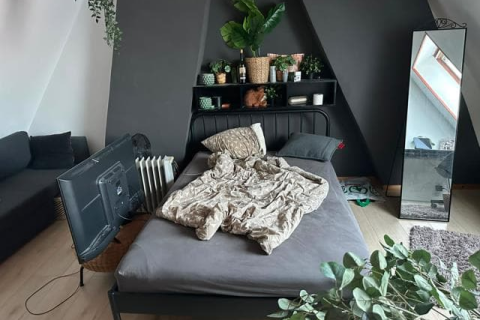 house image