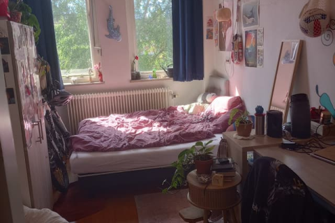 house image