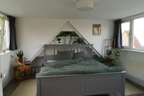 house image