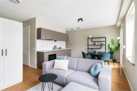 house image