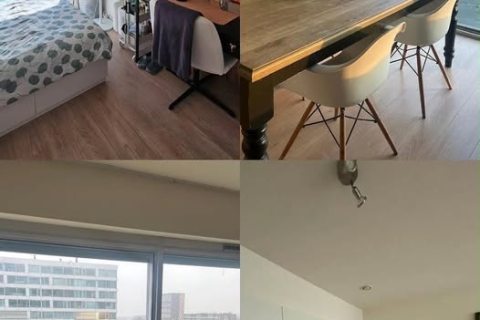 house image