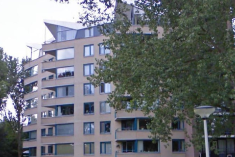 house image