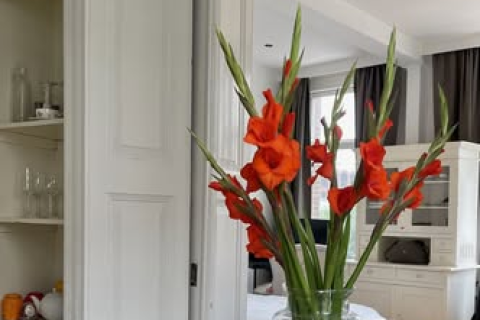 house image