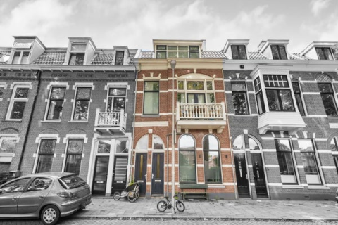 house image