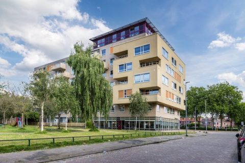 house image