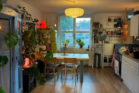 house image