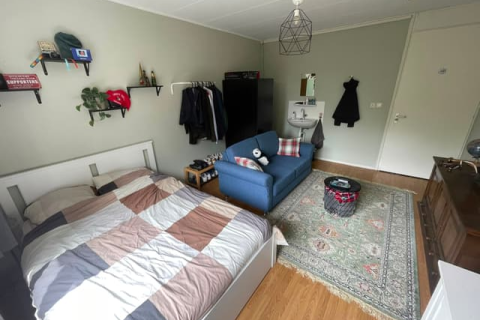house image