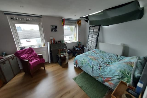 house image