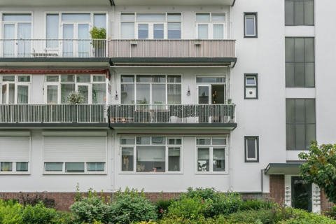 house image