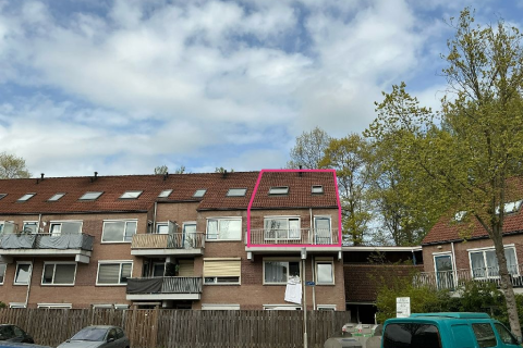 house image