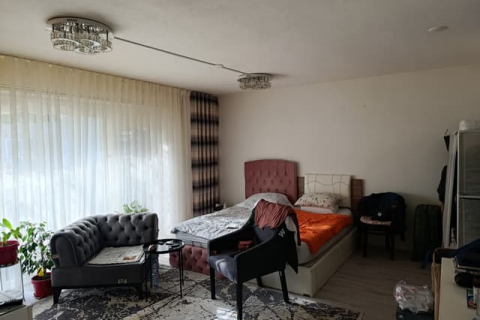 house image