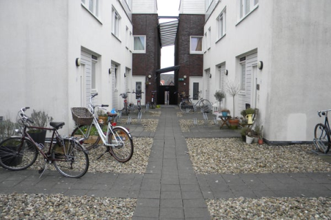 house image