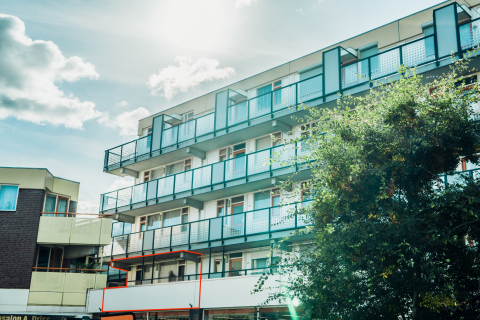 house image