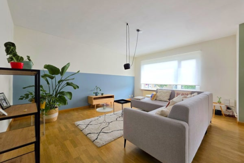 house image