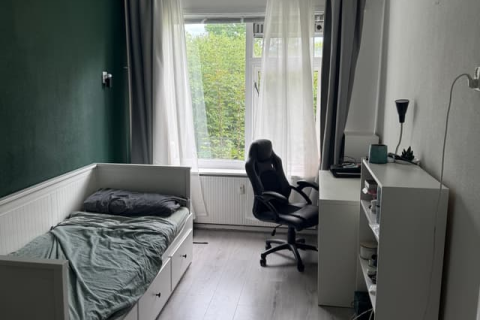 house image