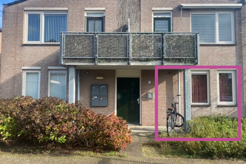 house image