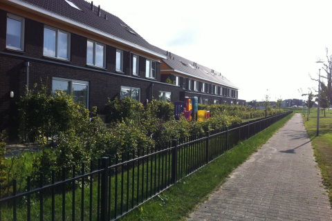house image