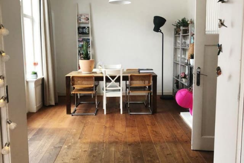 house image