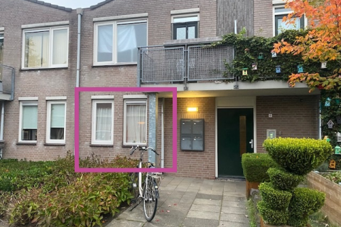 house image
