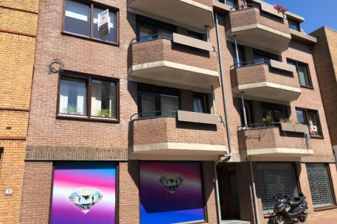 house image