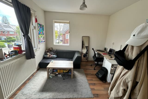 house image