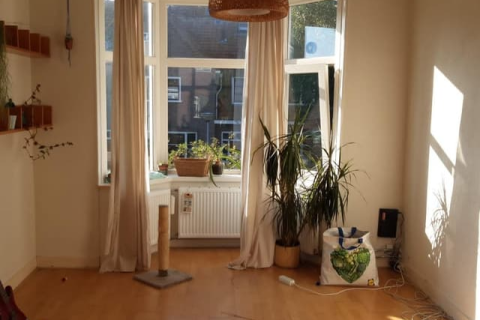 house image