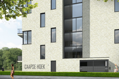 house image