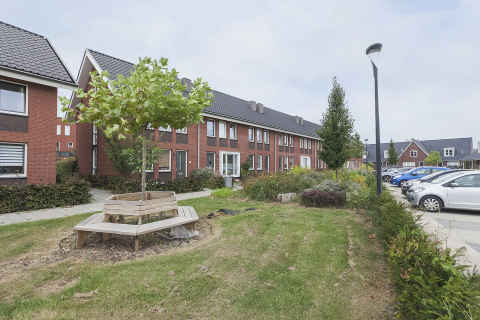 house image