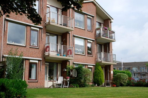 house image