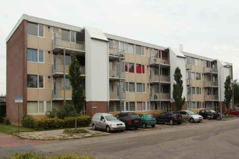 house image