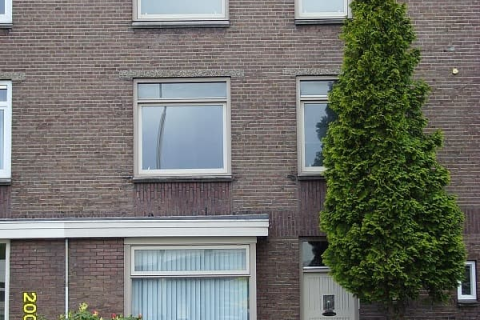 house image