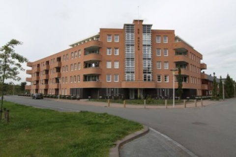 house image