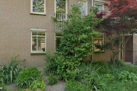 house image