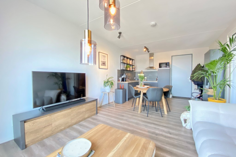 house image