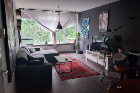 house image