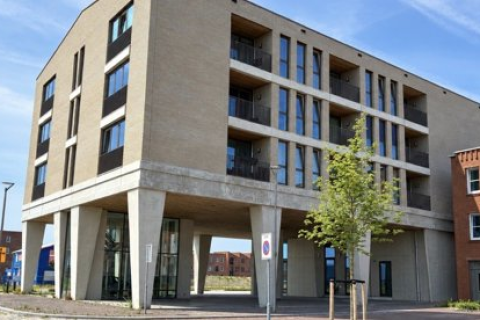 house image