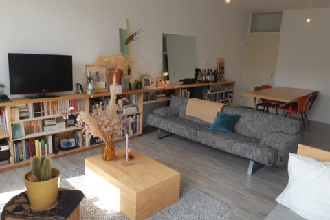 house image