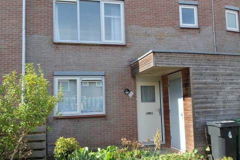 house image
