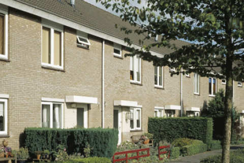 house image