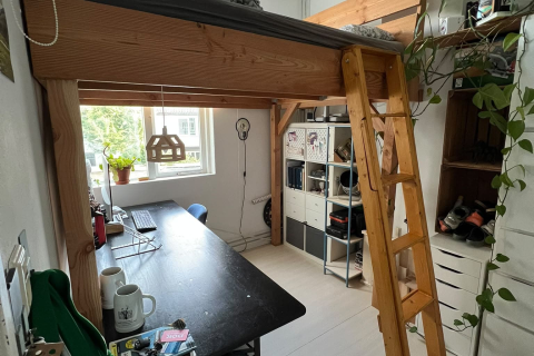 house image