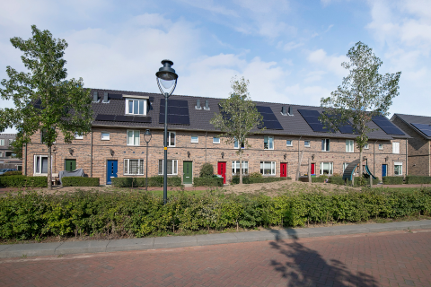 house image