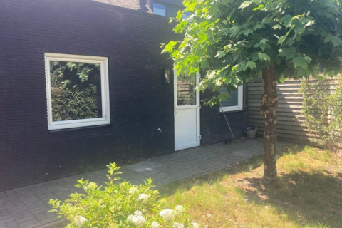 house image