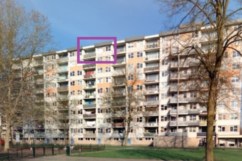 house image