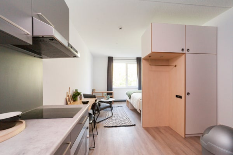 house image