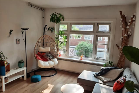 house image