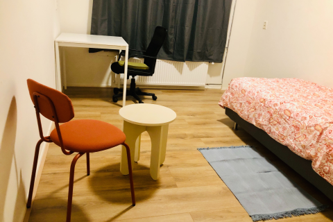 house image